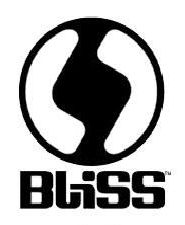 BLISS Snowboard Helme